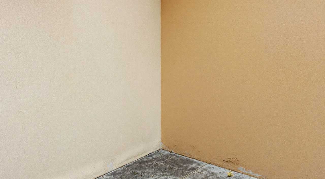 Angle rentrant entre le mur enduit d'une maison ancienne et celui d'une extension récente, deux teintes parentes séparées par un joint vertical.
